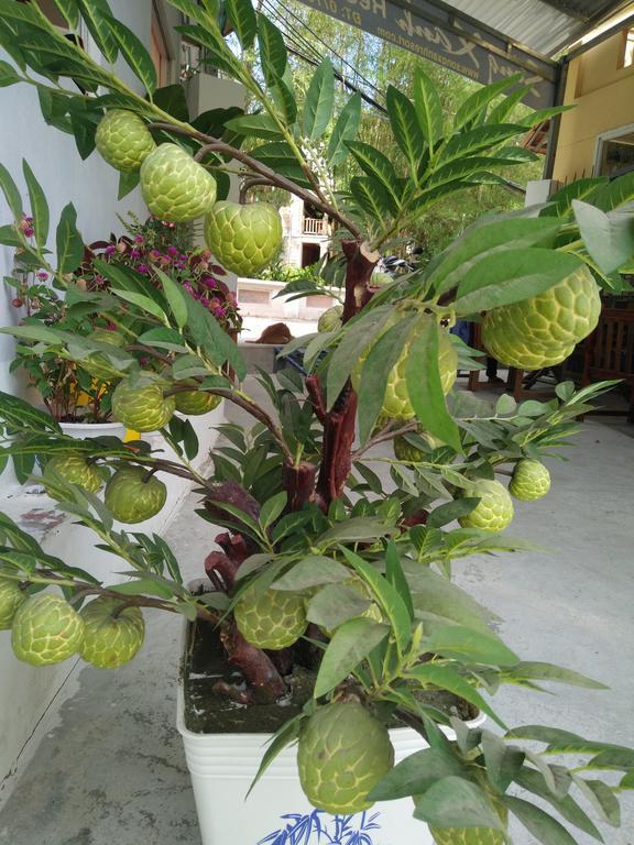 Song Xanh Bungalow Hotel Phu Quoc Bagian luar foto