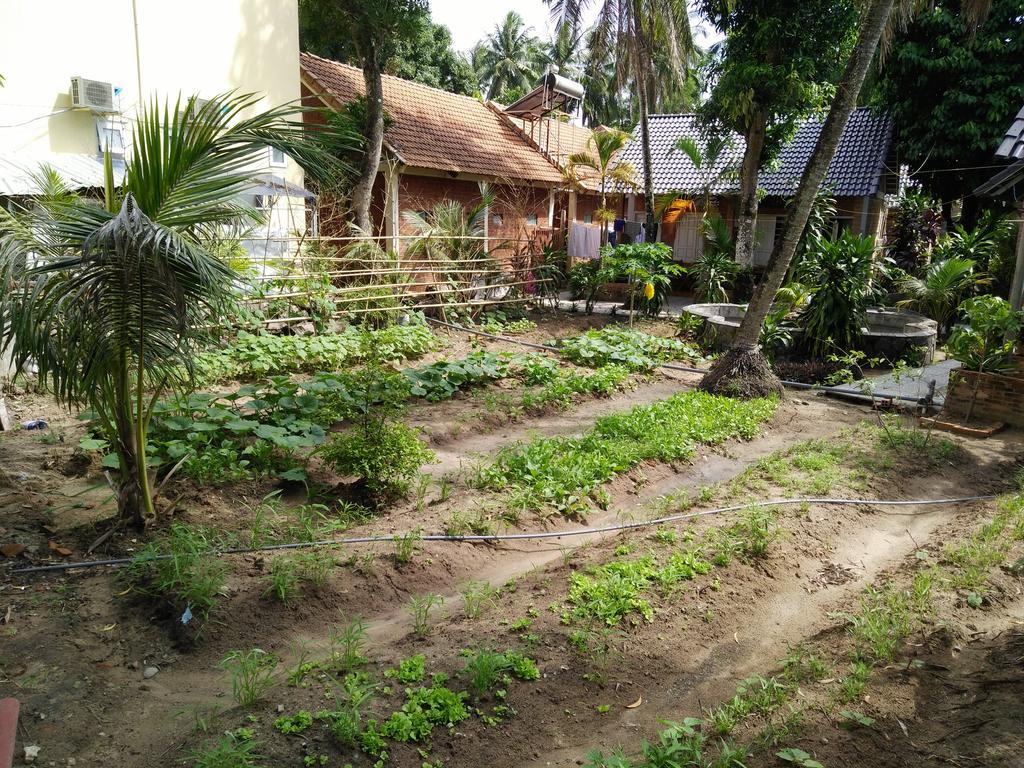 Song Xanh Bungalow Hotel Phu Quoc Bagian luar foto